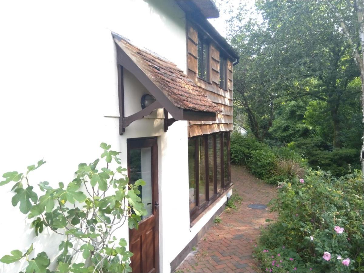 The Woodstore Dunkeswell Exterior photo